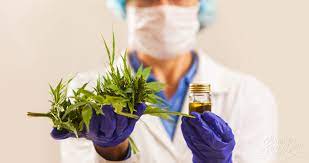 علم گیاه پزشکی چیست؟