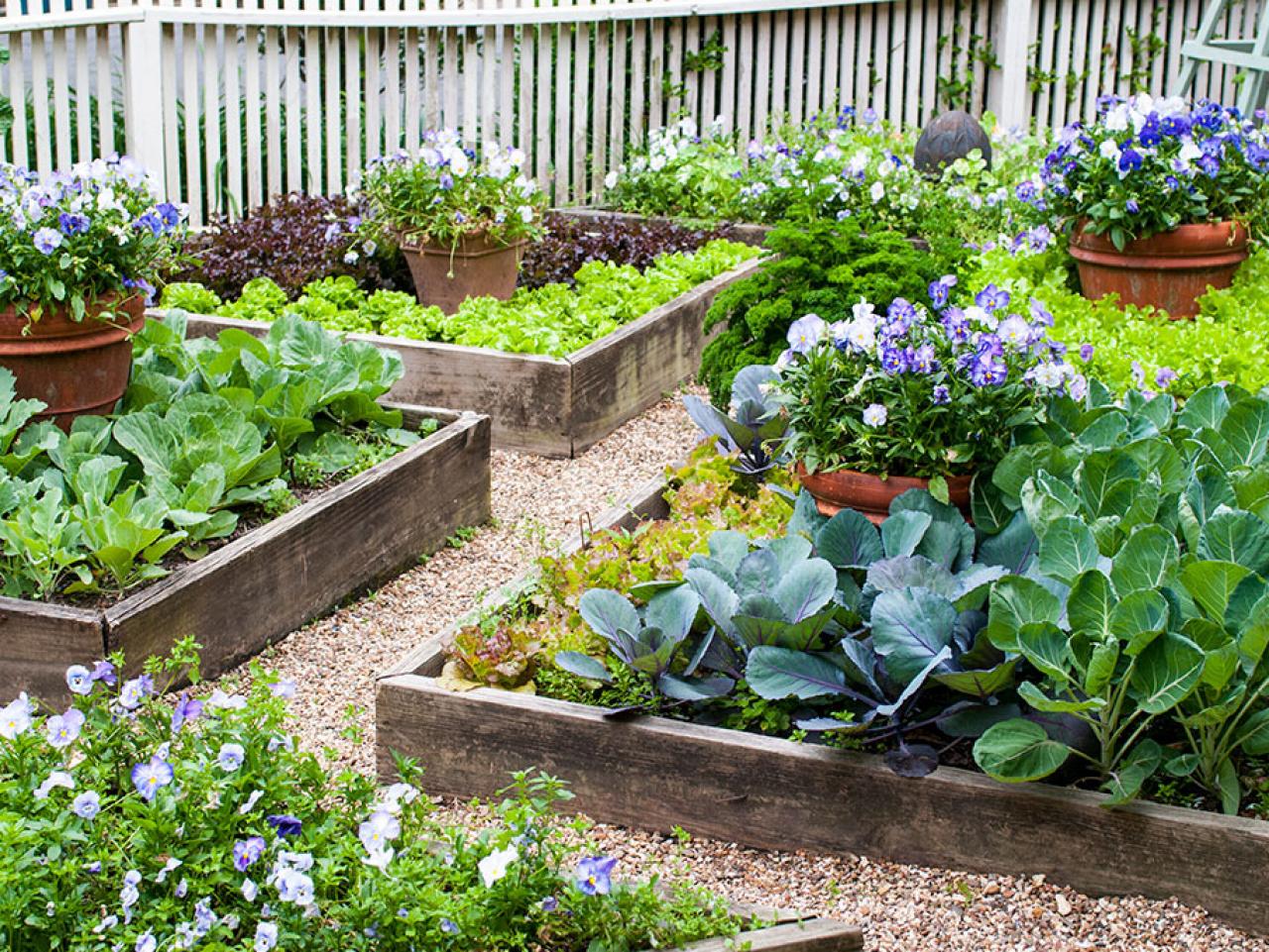 نحوه ی ساخت باغ مرتفع سبزیجات